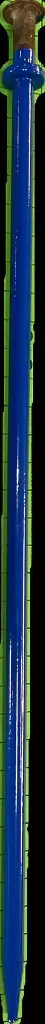 STAKEBLUE2.webp