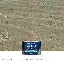 SKU306-04_FAEXP-SEMISOLID_4-OZ_EUCLPTUS_1024x_aaa4813f-dbcf-4433-b723-5ab5c4cc085d.webp