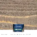 SKU304-04_FAEXP-SEMISOLID_4-OZ_CAPECDGRY_1024x_2da4e59a-5b68-4ea3-ab6e-a4591924117c.webp