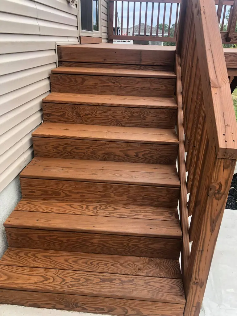 Palomino_Steps_a3a59d27-f36d-47f7-a050-30428c22042c.webp