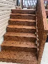 Palomino_Steps_a3a59d27-f36d-47f7-a050-30428c22042c.webp