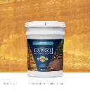 EXPERT Stain & Seal | Clear Fence, Deck, and Wood Stain & Sealer